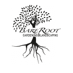 web-design-wakefield-client-bare-root