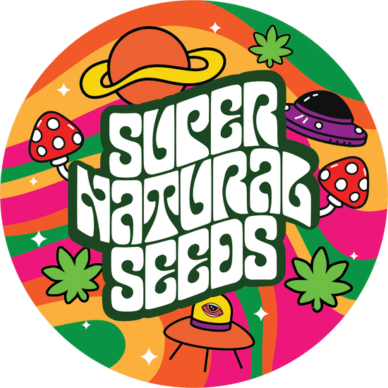 Monthly SEO packages client Supernatural Seeds
